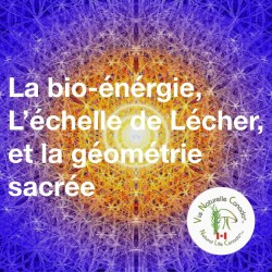 Bio-energy, drying scale and sacred geometry