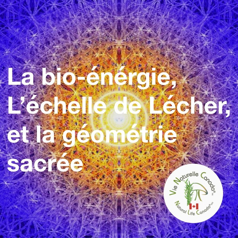 La Bio-énergie, l'échelle de Lécher et la géométrie sacrée