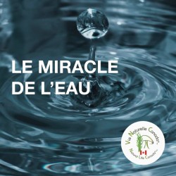 LE MIRACLE DE L’EAU - L'eau message de notre A.D.N, l'importance de l'eau au quotidien