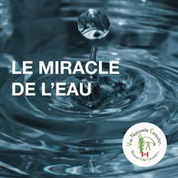 THE WATER MIRACLE - The water message of our DNA, the importance of water in everyday life