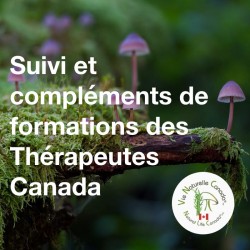 Suivi et compléments de formations Thérapeutes Canada