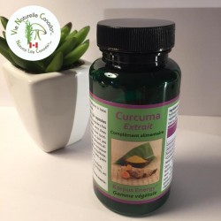 Curcuma - 90 capsules