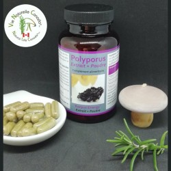 Polyporus - 120 capsules