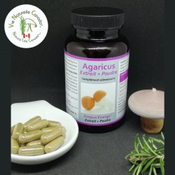 Agaricus - 120 capsules
