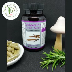 Cordyceps - 60 capsules