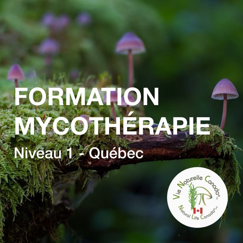 Formation niveau 1 - Tout public et thérapeutes